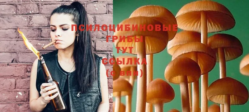 даркнет сайт  Вилючинск  кракен вход  Галлюциногенные грибы MAGIC MUSHROOMS 